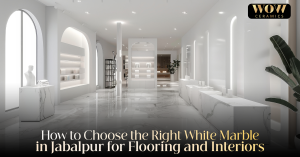 Read more about the article How to Choose the Right White Marble in Jabalpur for Flooring and Interiors
